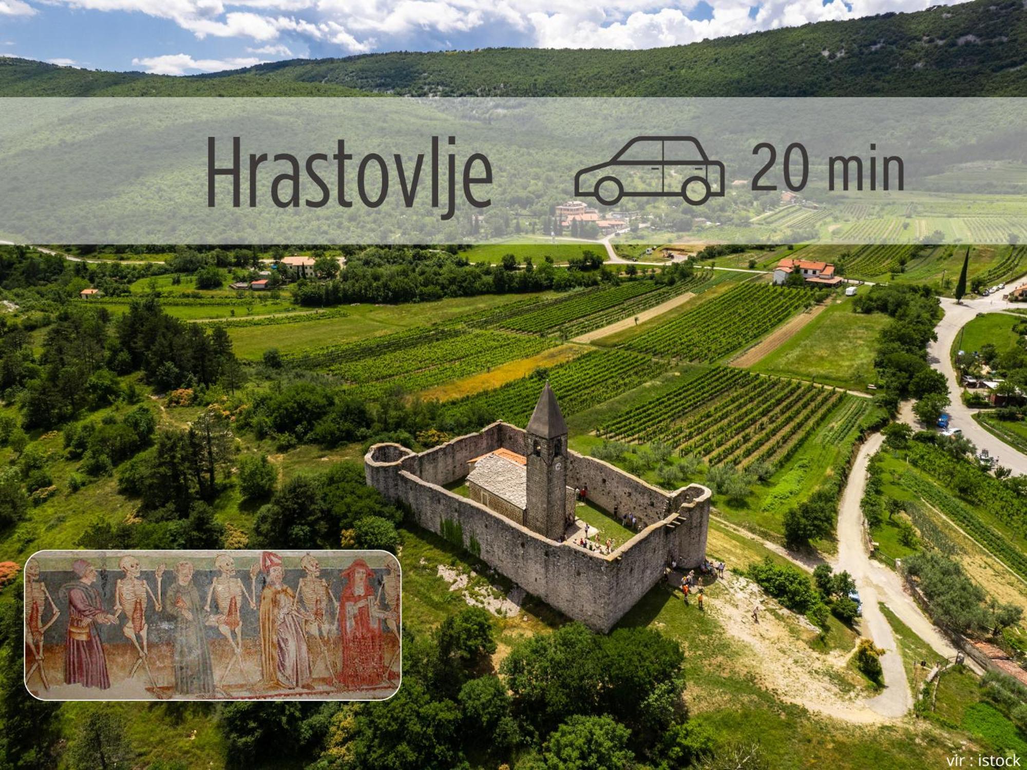 Casa Miranda - Family Comfort In A Quiet Area, Near The Sea, With Bbq And Free Parking Zgornje Skofije Exterior photo